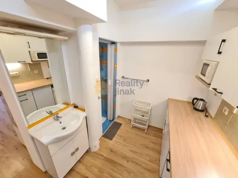 Pronájem bytu 1+1, Brno - Staré Brno, Vodní, 24 m2