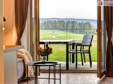 Prodej bytu 1+kk, Frymburk - Kovářov, 47 m2