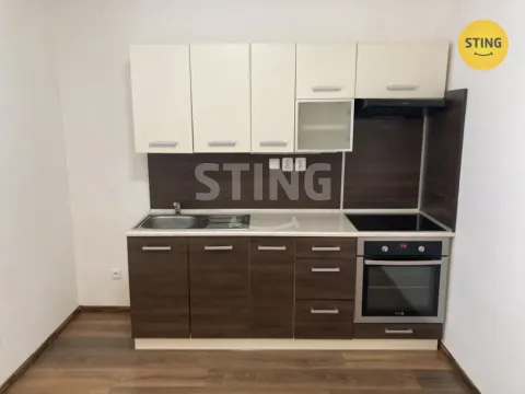 Pronájem bytu 1+kk, Opava, Hviezdoslavova, 25 m2