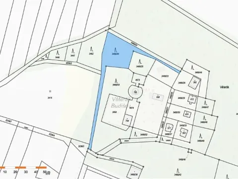 Prodej lesa, Budišov, 1061 m2