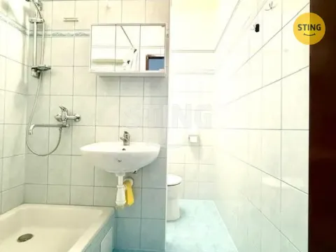 Pronájem bytu 2+1, Hodonín, Jižní, 44 m2