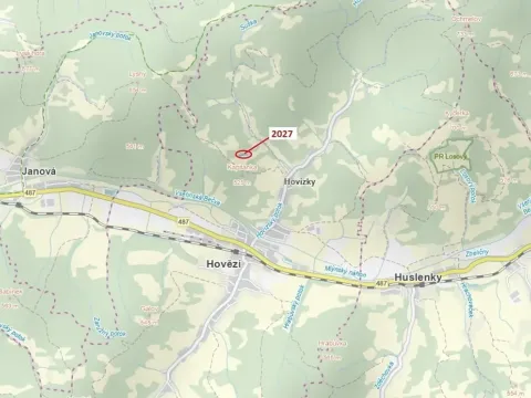 Dražba lesa, Hovězí, 1252 m2