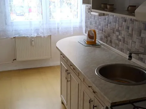 Pronájem bytu 3+1, České Budějovice - České Budějovice 3, Plzeňská, 63 m2