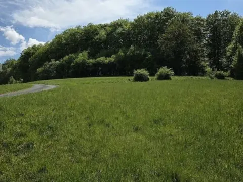 Prodej lesa, Vsetín, Semetín, 96946 m2