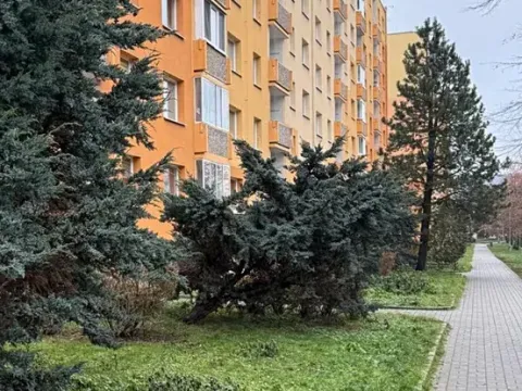 Prodej bytu 2+1, Jirkov, Na Borku, 62 m2