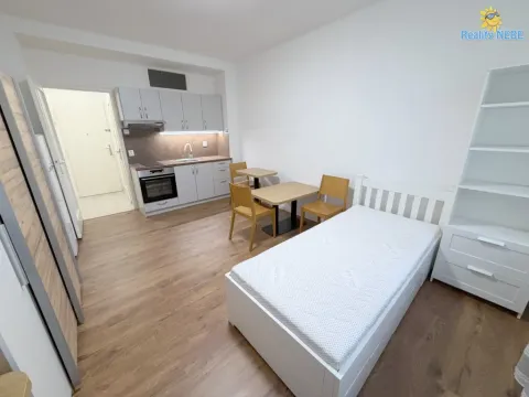 Pronájem bytu 1+kk, Praha - Žižkov, Baranova, 24 m2