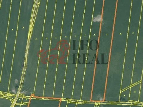 Prodej pole, Vstiš, 76424 m2