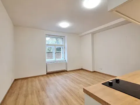 Pronájem bytu 1+kk, Praha - Bubeneč, U zeměpisného ústavu, 26 m2
