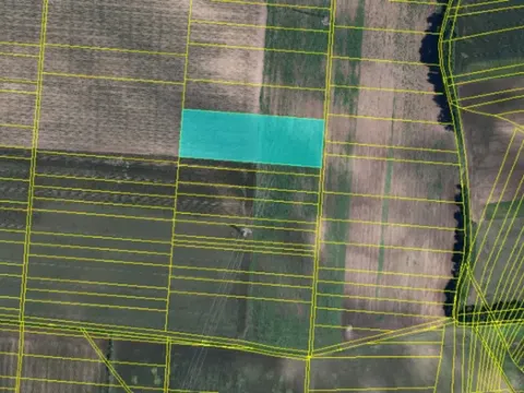 Prodej pole, Moravský Žižkov, 2009 m2