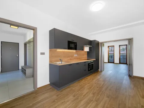 Pronájem bytu 1+1, Plzeň - Severní Předměstí, Bolevecká, 47 m2