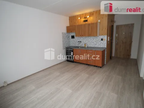 Pronájem bytu 1+1, Nové Sedlo, Revoluční, 38 m2