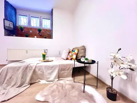 Prodej bytu 1+1, Praha - Žižkov, Biskupcova, 29 m2