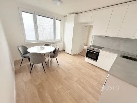 Pronájem bytu 1+1, Písek, nábřeží 1. máje, 36 m2