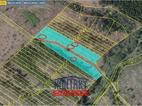 Prodej lesa, Dlouhá Brtnice, 5000 m2