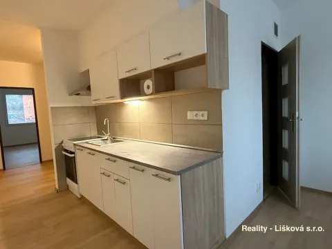 Pronájem bytu 2+1, Ústí nad Labem - Střekov, Tolstého, 63 m2