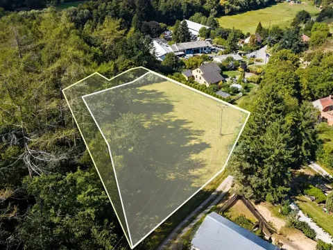 Prodej pozemku pro bydlení, Plasy, 3866 m2