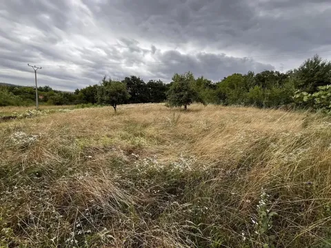 Prodej zahrady, Oslavany, 3447 m2