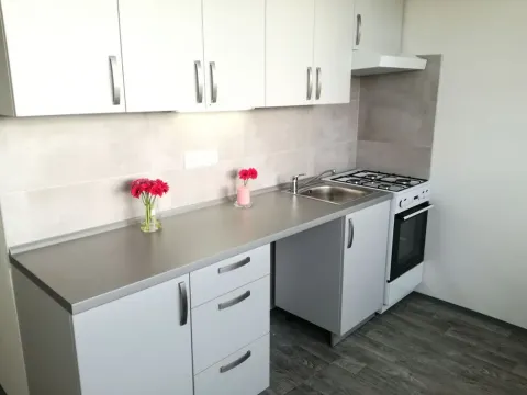 Pronájem bytu 2+1, Ostrava, Dr. Martínka, 50 m2