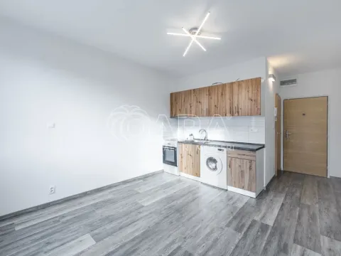 Pronájem bytu 1+kk, Klatovy - Klatovy III, Prusíkova, 19 m2