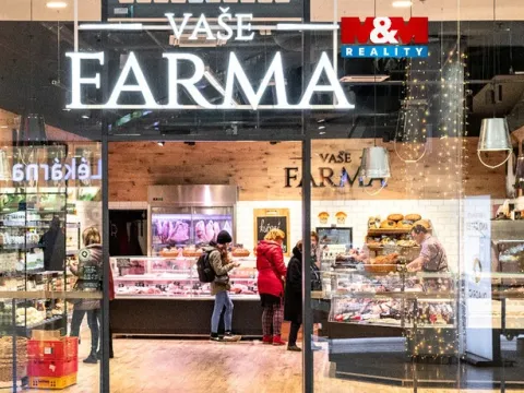 Pronájem obchodního prostoru, Praha - Krč, Budějovická, 50 m2