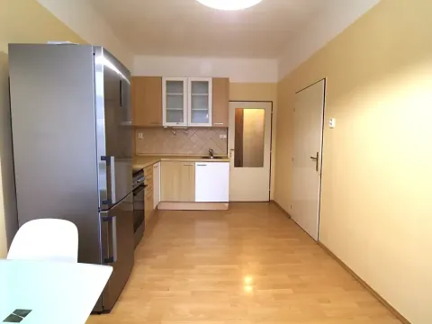 Dražba bytu 2+kk, Praha - Břevnov, U kaštanu, 50 m2