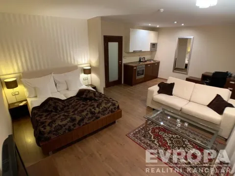 Pronájem bytu 1+kk, Plzeň - Jižní Předměstí, U Borského parku, 37 m2