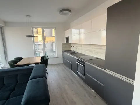 Pronájem bytu 2+kk, Ostrava - Moravská Ostrava, F. X. Riepla, 60 m2