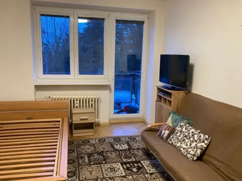 Pronájem bytu 1+1, Plzeň, Revoluční, 35 m2