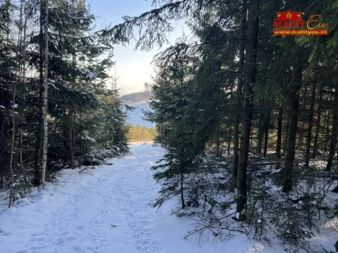 Prodej lesa, Horní Radechová - Slavíkov, 51351 m2