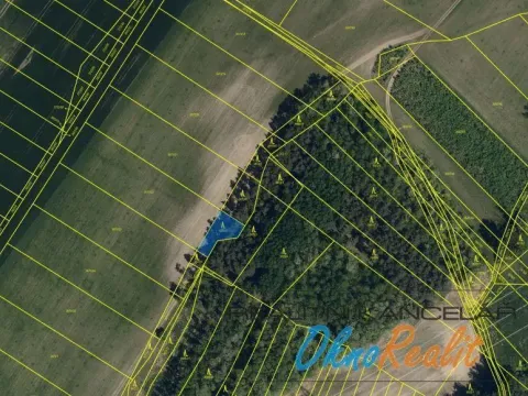 Prodej lesa, Dubňany, 442 m2