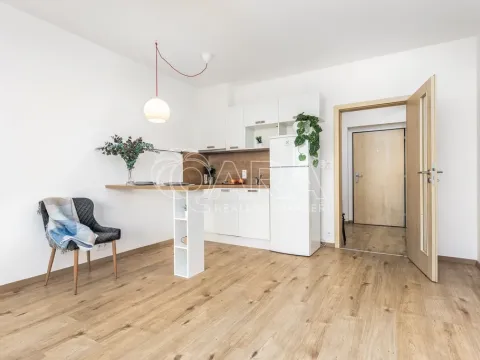 Pronájem bytu 1+kk, Praha - Stodůlky, Holýšovská, 12052 m2