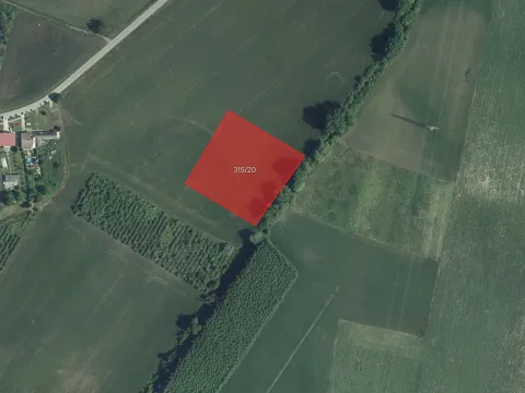 Prodej sadu/vinice, Přítluky, 7205 m2