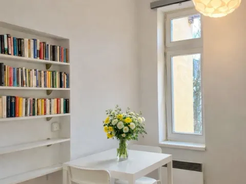 Pronájem bytu 1+kk, Praha, Heydukova, 21 m2