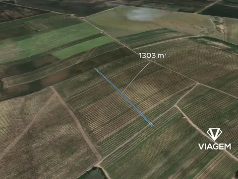 Prodej pole, Prušánky, 1303 m2