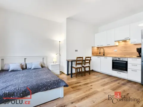 Pronájem bytu 1+kk, Brno - Trnitá, Špitálka, 30 m2