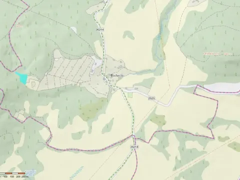 Prodej pozemku, Stružnice - Bořetín, 2913 m2