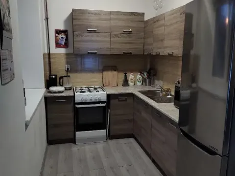 Pronájem bytu 1+kk, Prostějov, Olomoucká, 55 m2