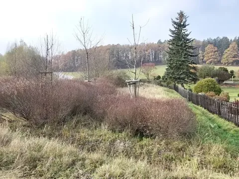 Prodej pozemku, Lázně Bělohrad, 1005 m2