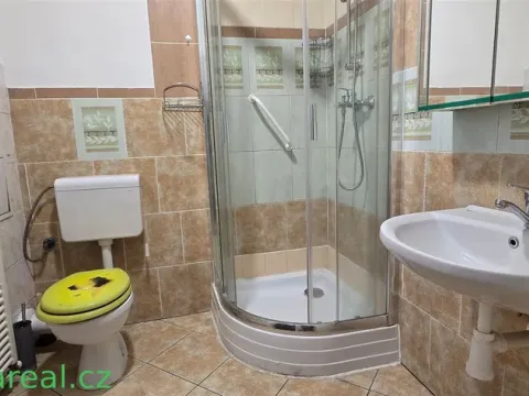 Pronájem bytu 1+1, Brno, Dukelská třída, 37 m2