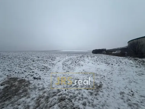 Prodej pole, Bořetice, 4209 m2