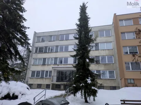 Pronájem bytu 1+kk, Bílina - Pražské Předměstí, Aléská, 28 m2