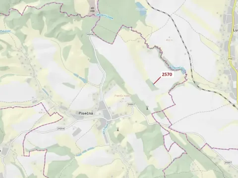 Dražba lesa, Písečná, 447 m2