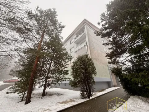 Prodej bytu 3+1, Most, Svážná, 79 m2