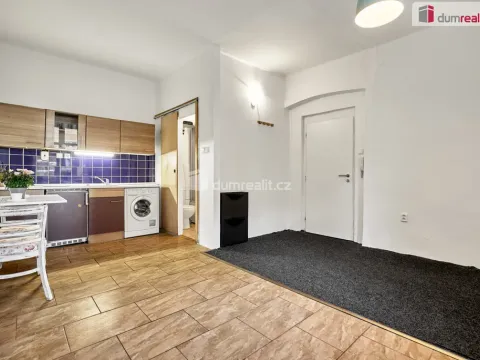 Pronájem bytu 1+kk, Ústí nad Labem - Ústí nad Labem-centrum, Emy Destinové, 21 m2
