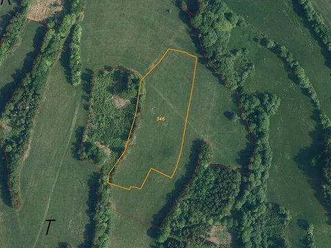 Prodej pole, Roztoky u Semil, 18839 m2