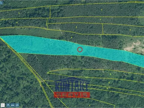 Prodej lesa, Krašlovice, 32226 m2