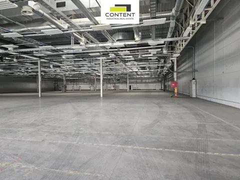 Pronájem skladu, Plzeň - Skvrňany, U Nové Hospody, 6625 m2