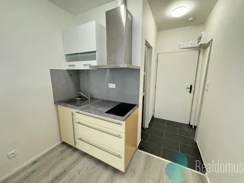 Pronájem bytu 1+kk, Kaplice, Omlenická, 20 m2