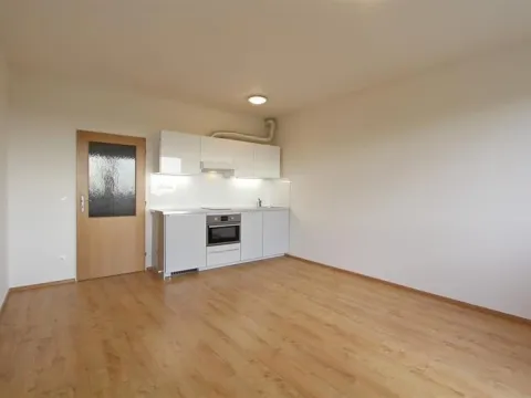 Pronájem bytu 1+kk, Brno, Bučkova, 27 m2