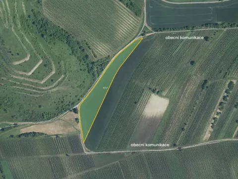 Prodej pole, Dolní Dunajovice, 9912 m2